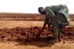 Sowing woman