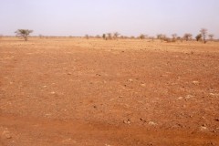 Degraded soil before land treatment
