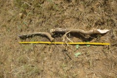 Measuring root 2
